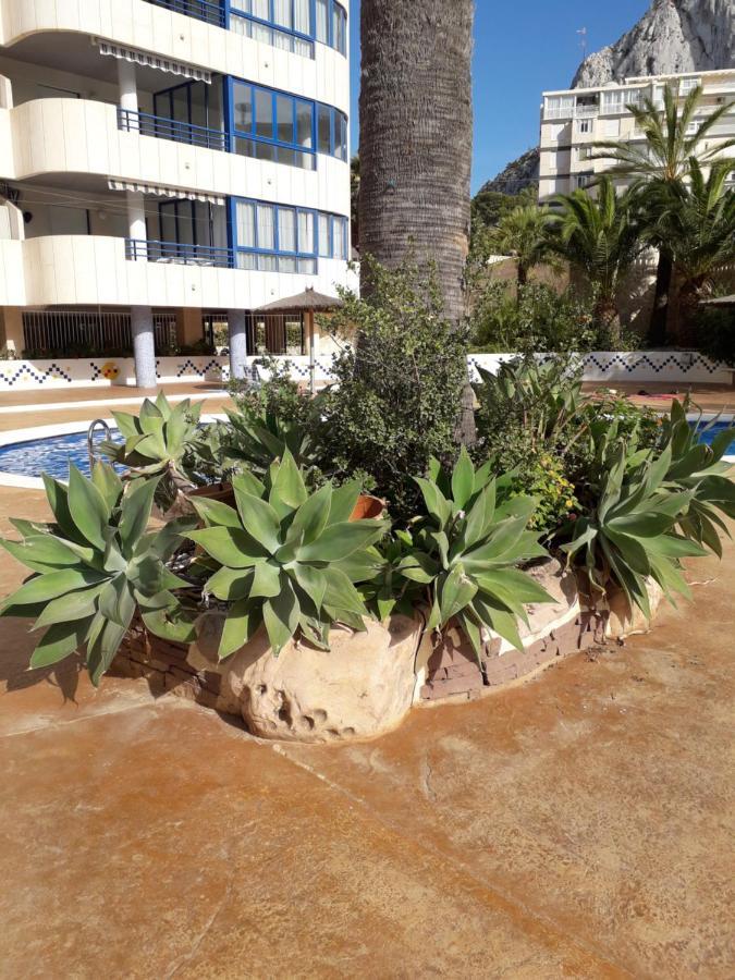 Appartement Equipe Calpe Espagne, 4 Couchages, Terrasse, Piscines, Climatisation, Garage, Wifi Gratuits 외부 사진